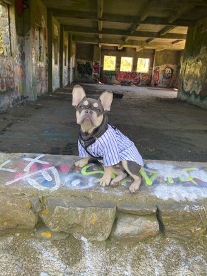 Prada (Prada)